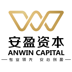 華創安盈投資控股