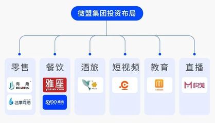 6億美元融資就位 看微盟如何&ldquo;深挖坑、廣積糧、高筑墻&rdquo;